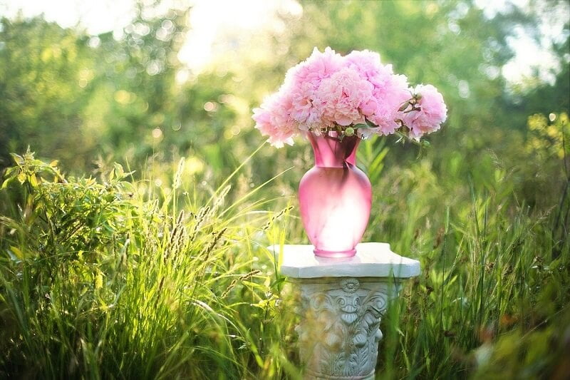 How to keep cut flowers fresh for a longer time