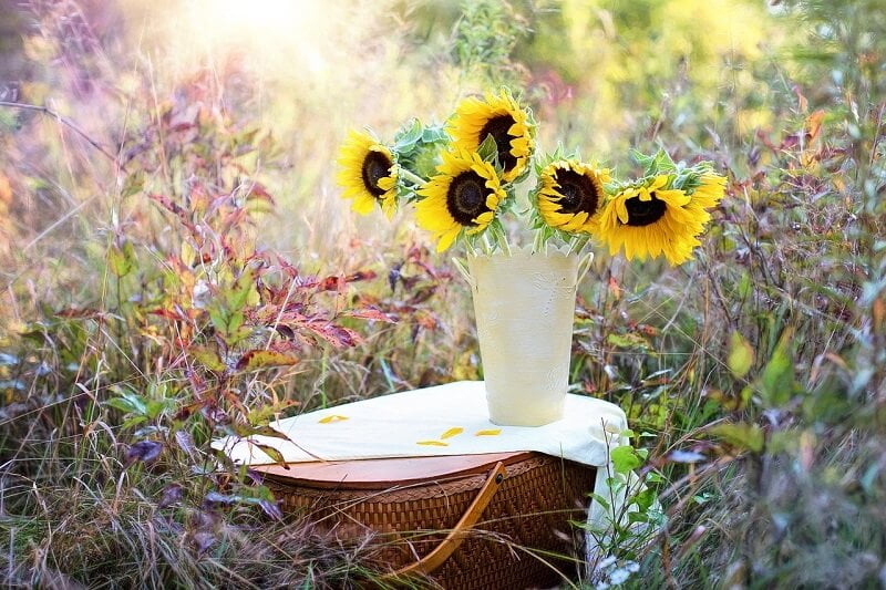 How to keep cut flowers fresh for a longer time