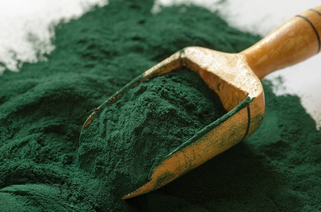 Spirulina algae - a dietary supplement that should be included in your daily diet