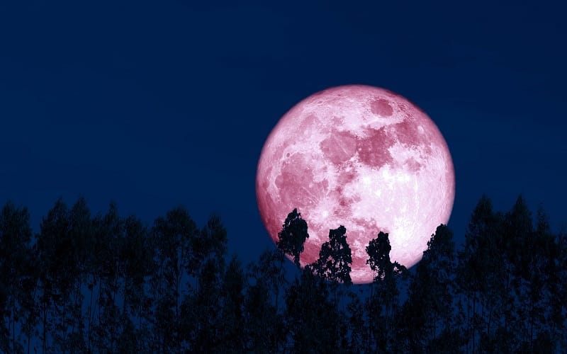 Super Pink Moon. Why is called “Pink Moon” and when can we see it?