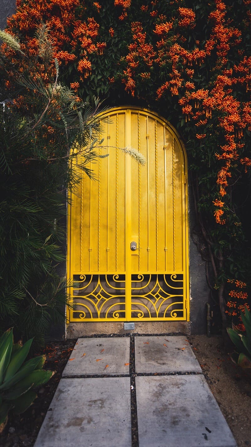 Pick an autumn door and find out what the Universe has in store for you in the coming months