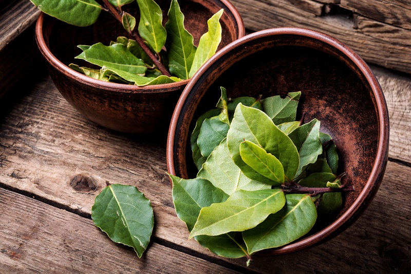 5 health benefits of bay leaf