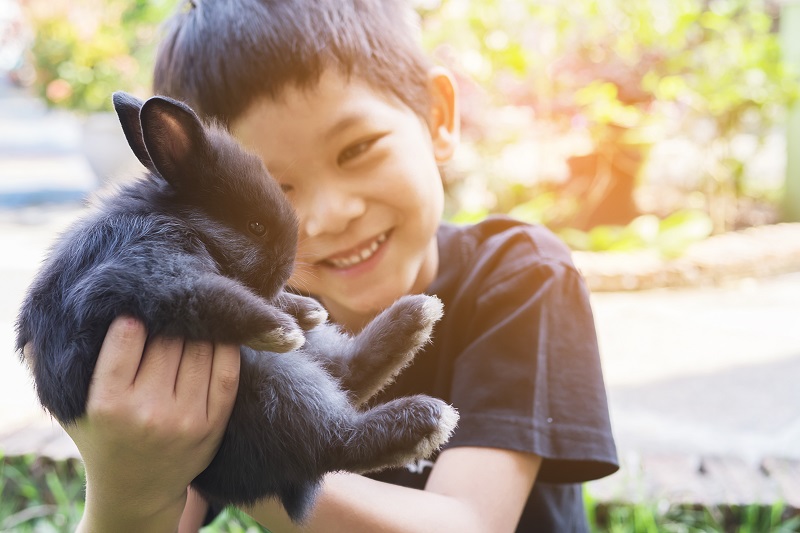 Why you should NOT buy your child a bunny for Easter