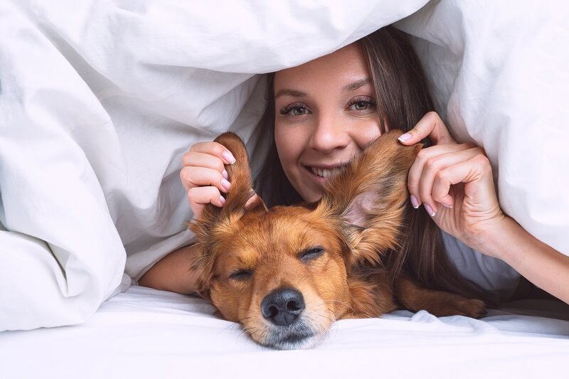 The positive effects of letting your dog into your bed: 13 scientifically proven facts