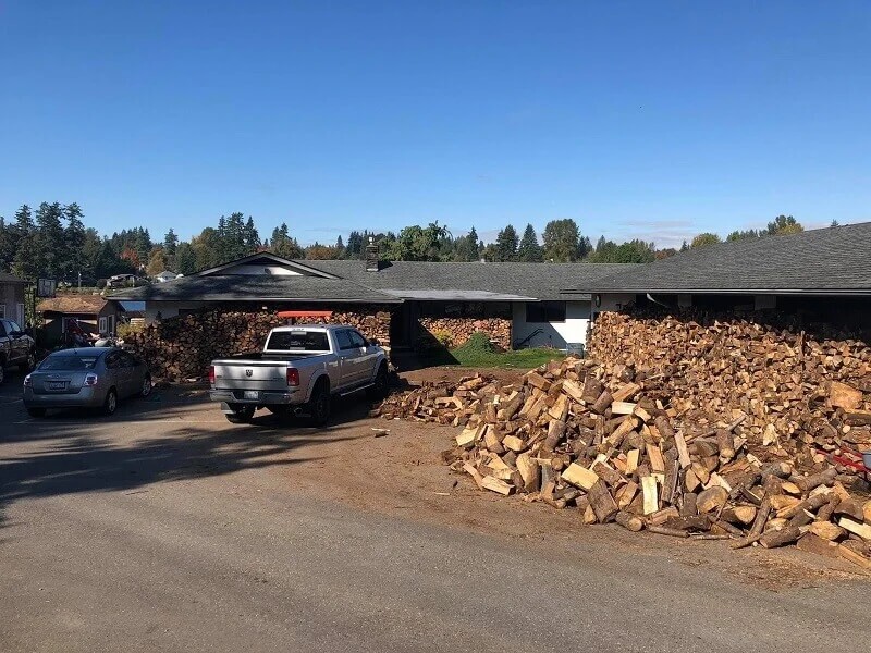 A father and his sons chopped up 80 truckloads of firewood and distributed it to the needy